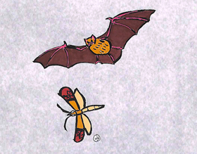 ノシメマダラメイガとコウモリ