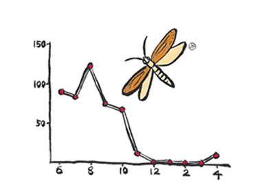 製造工場でのガイマイツヅリガ成虫の捕獲調査