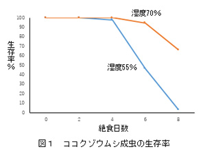 ココクゾウムシ成虫の生存率