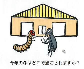 今年の冬はどこで過ごされますか？