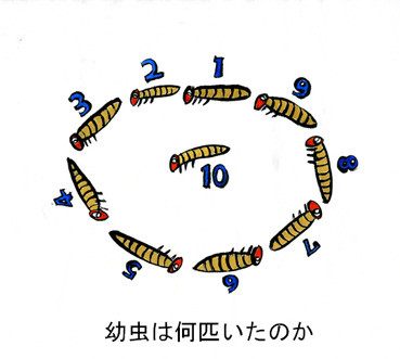 幼虫は何匹いたのか