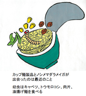 カップ麺製品の食材の組み合わせにおけるノシメマダラメイガの発育