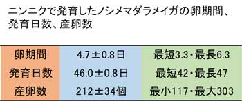 卵期間、発育日数、産卵数