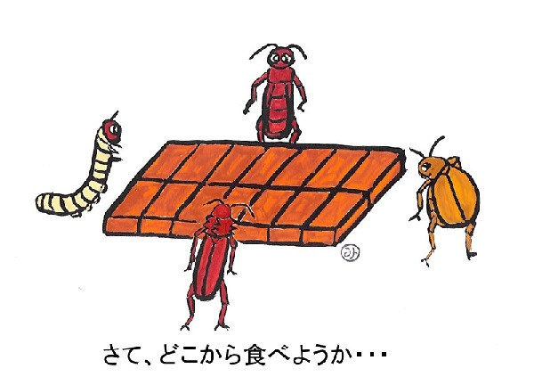 さて、どこから食べようか