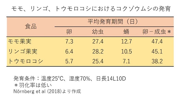 モモ、リンゴ、トウモロコシにおけるコクゾウムシの発育