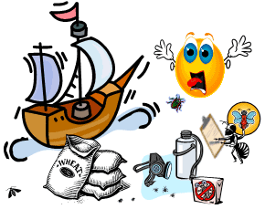 外来種の侵入対策