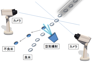 色彩選別機による不良米の除去