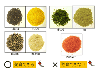 ノシメマダラメイガは辛党＆甘党