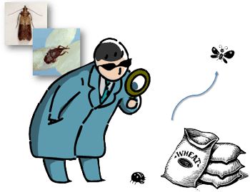 よく観察しよう