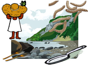 映画の中の昆虫料理