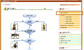 貯穀害虫・天敵図鑑（この虫何？）