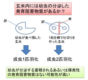 発育阻害物質ではない