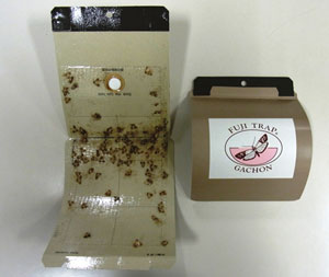 ノシメマダラメイガ用性フェロモントラップ