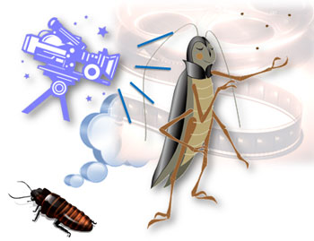 ゴキブリは好感のもてるキャラクタ