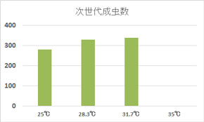 次世代の成虫数