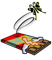 チョコレート製品に虫