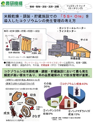 コクゾウムシ管理暦パンフレットの1ページ目