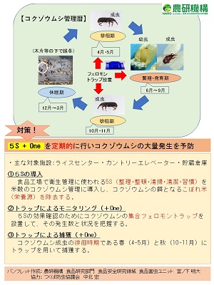 コクゾウムシ管理暦パンフレットの2ページ目