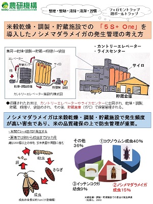 ノシメマダラメイガ管理暦パンフレットの1ページ目