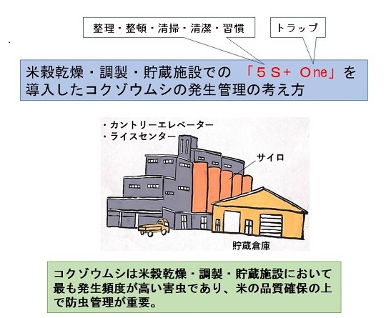 5S+Oneのイラスト