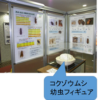 コクゾウムシ幼虫フィギュア