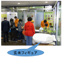 玄米フィギュア