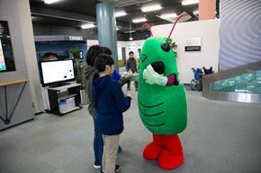 アカスジカスミカメのスジヲ