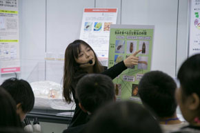 お米を食べる虫の観察