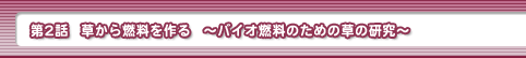 第2話・草から燃料を作る　～バイオ燃料のための草の研究～