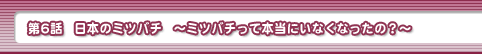 第6話・日本のミツバチ－ミツバチって本当にいなくなったの？