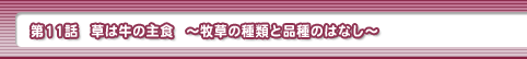 第11話・草は牛の主食　～牧草の種類と品種のはなし～