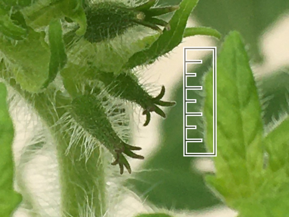 測定のイメージを表す画像。