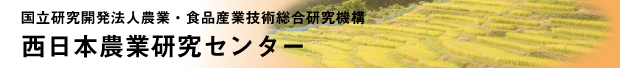 西日本農業研究センター(WARC/NARO)