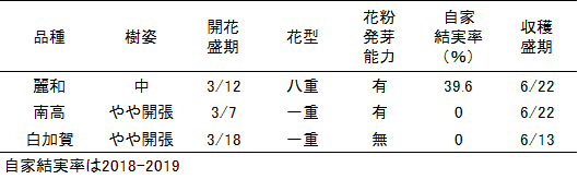 表1「麗和」の樹の特性(農研機構 2017-2019)