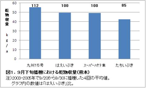 九州15号