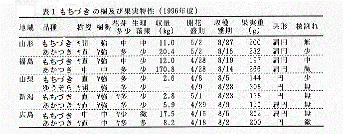 もちづきの果実特性1