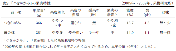 表2つきかがみの果実特性