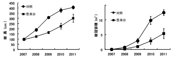  図1   「豊楽台」台木利用による「富有」の生育状況(無せん定・無着果管理樹)