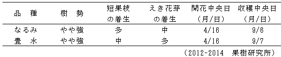 表2  「なるみ」の樹体特性