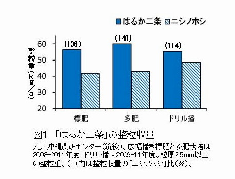 「はるか二条」の整粒収量