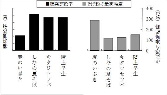 春のいぶき