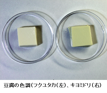 豆腐の色調