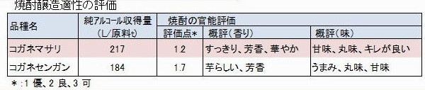 焼酎醸造適正の評価