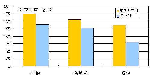 まきみずほ