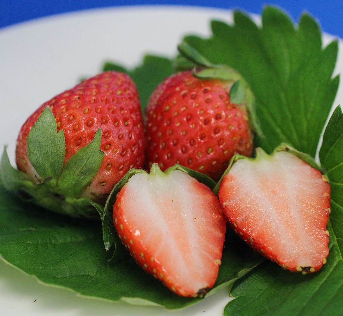 「夏の輝」の果実