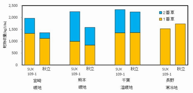 試験地別の番草別の乾物収量