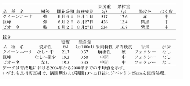 クイーンニーナ_特性