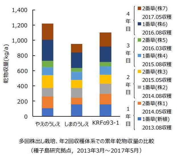 乾物終了の比較