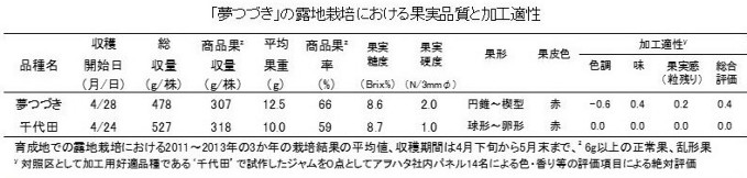 「夢つづき」の露地栽培における果実品質と加工適性