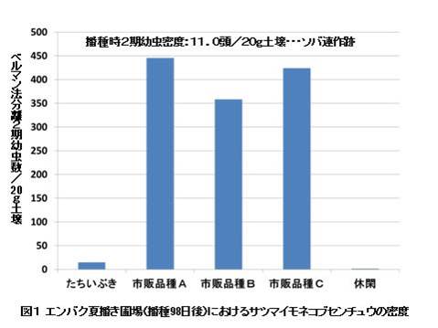 たちいぶき